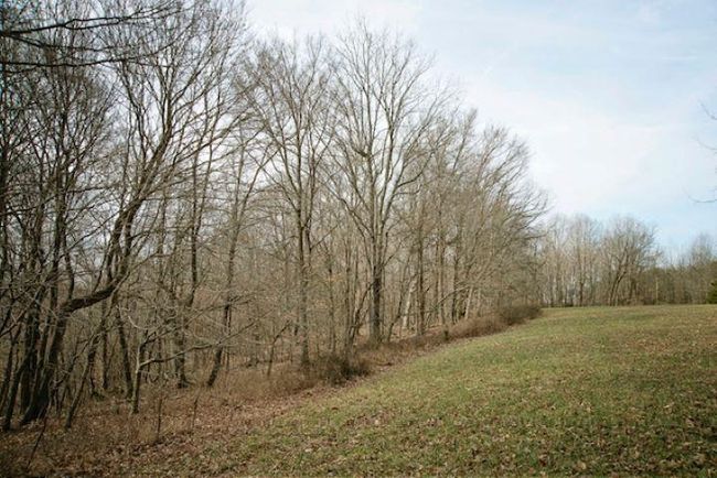 13300 Scottsville Rd, Home with 0 bedrooms, 0 bathrooms and null parking in Lucas KY | Image 4