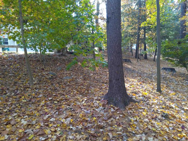 15 Coleridge Rd, House other with 4 bedrooms, 3 bathrooms and null parking in Nashua NH | Image 49