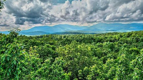 19 Mt Mcgurder Rd, Ellijay, GA, 30536 | Card Image