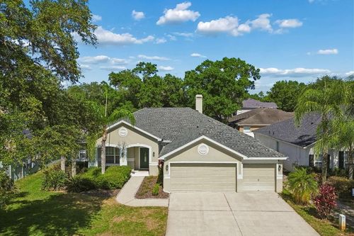 15217 Octavia Ln, ODESSA, FL, 33556-1403 | Card Image