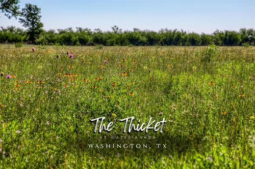 00000 Flat Prairie Rd, Washington, TX, 77880 | Card Image