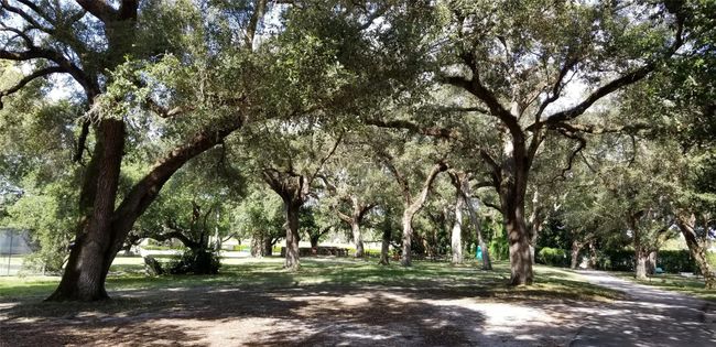 Barbeque Area | Image 25