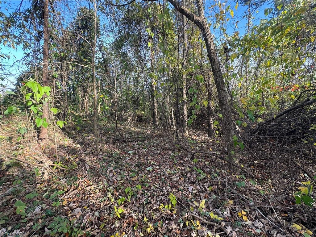 Land in Reidsville 5