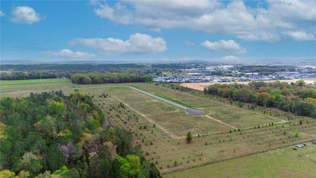 lot 7 Panoramic View Drive, Home with 0 bedrooms, 0 bathrooms and null parking in Apopka FL | Image 16