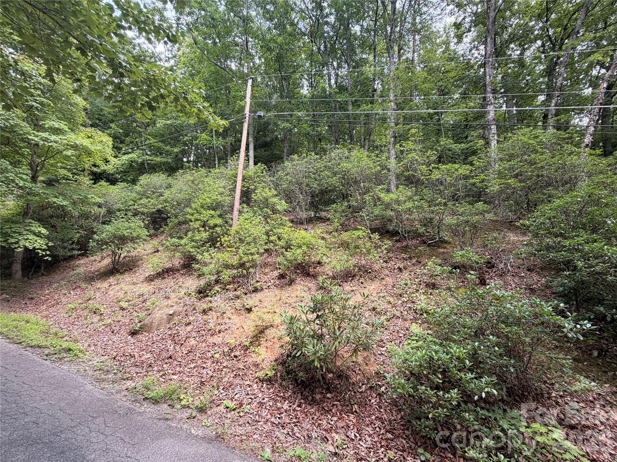 Land in Swannanoa 4