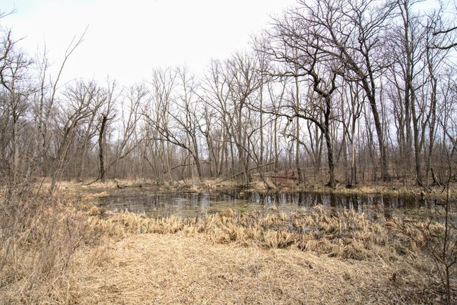 Pond view | Image 20