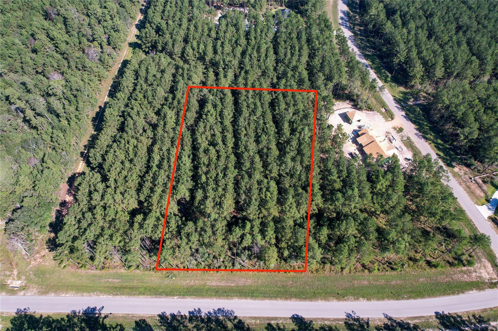 Land in Willis 3
