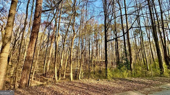 0 S Seminole Dr, Home with 0 bedrooms, 0 bathrooms and null parking in Douglasville GA | Image 7