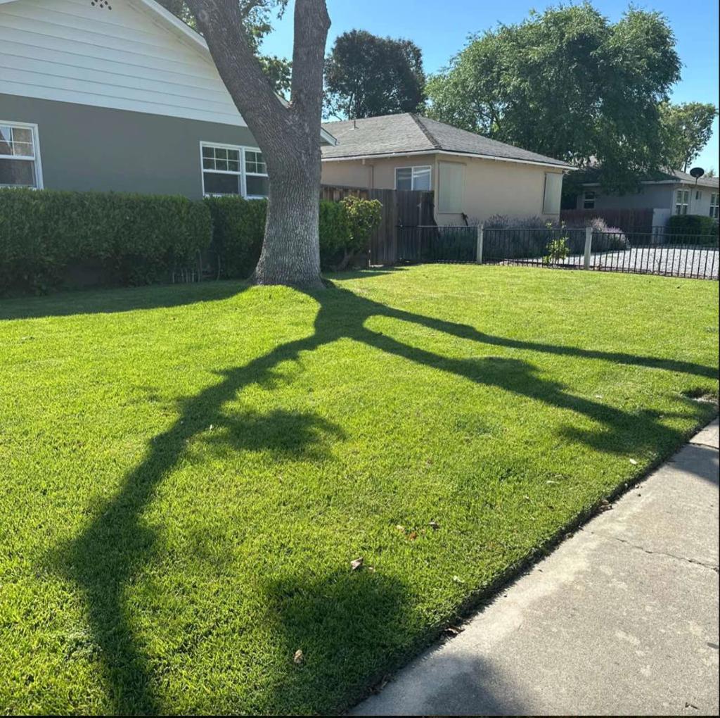 Residential Income in San Jose 2