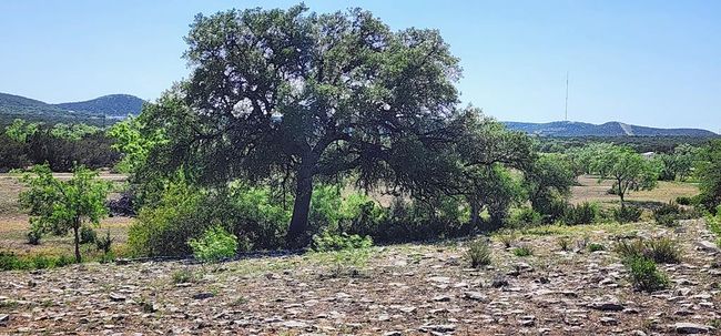 AB-363-AND-495 - 1500 Sales Rd, Home with 0 bedrooms, 0 bathrooms and null parking in Mertzon TX | Image 43