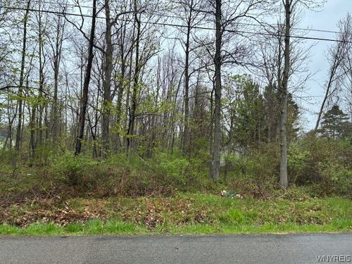 V/L Argyle Avenue, Evans, NY, 14006 | Card Image