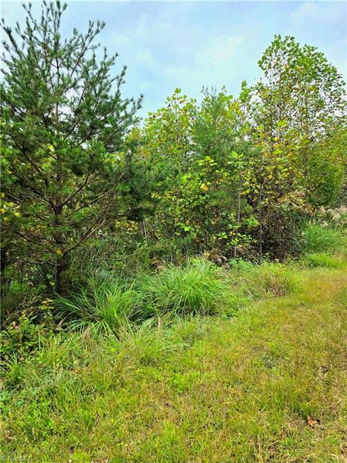00 Holly Brook St, North Wilkesboro, NC, 28659 | Card Image