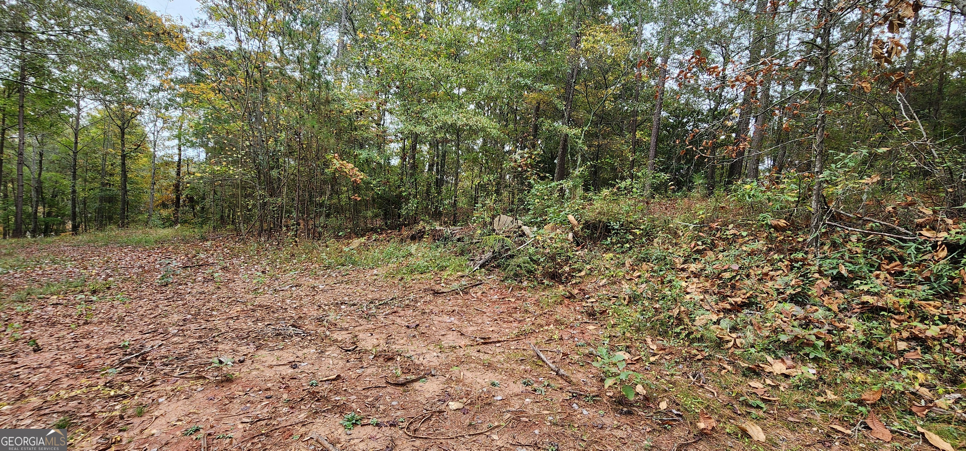 Land in Monticello 3