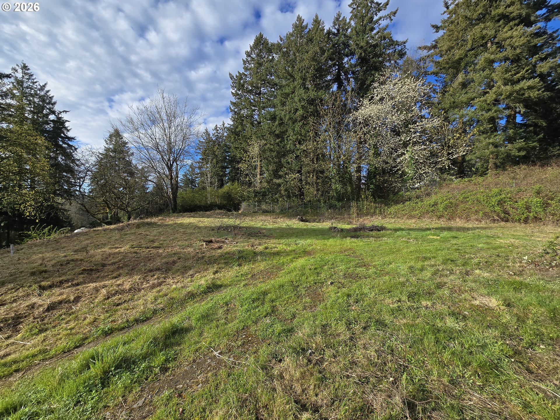 Land in Portland 4