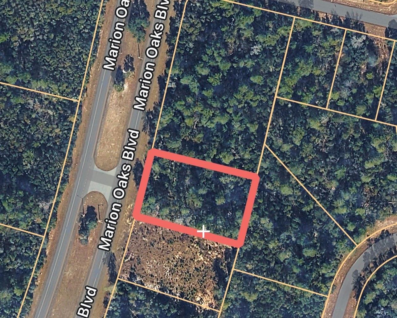 Land in OCALA