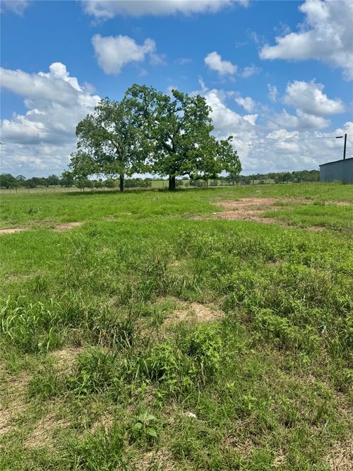TBD Lot 10 Cardinal Road, Rosanky, TX, 78953 | Card Image