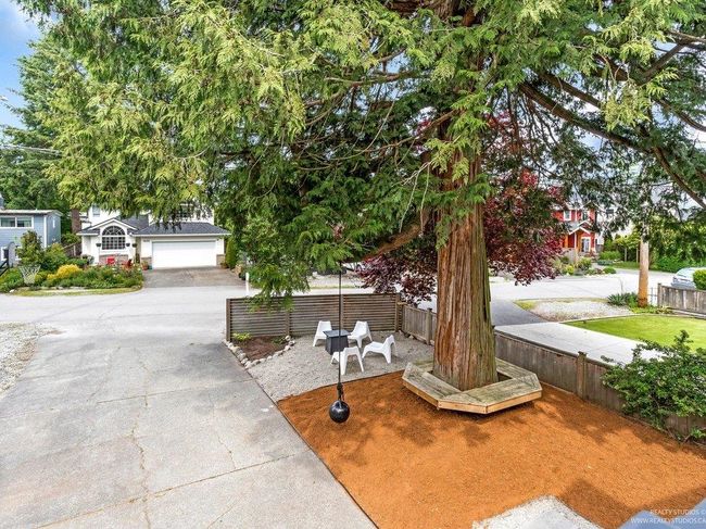 Spectacular old growth tree with seating area around the trunk and a wrecking ball to swing on. Fire table seating area beyond. Garden box and basketball hoop not in photo. | Image 14