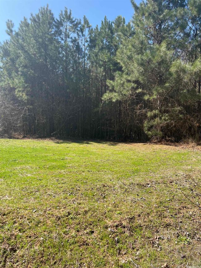 00 Nevada County 175 Road, Home with 0 bedrooms, 0 bathrooms and null parking in Rosston AR | Image 20