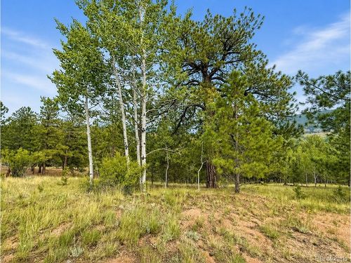 88 May Queen Way, Cripple Creek, CO, 80813-8608 | Card Image