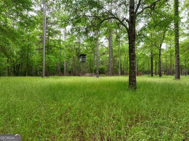6620 Jr Sims Rd, Home with 0 bedrooms, 0 bathrooms and null parking in Irwinton GA | Image 9
