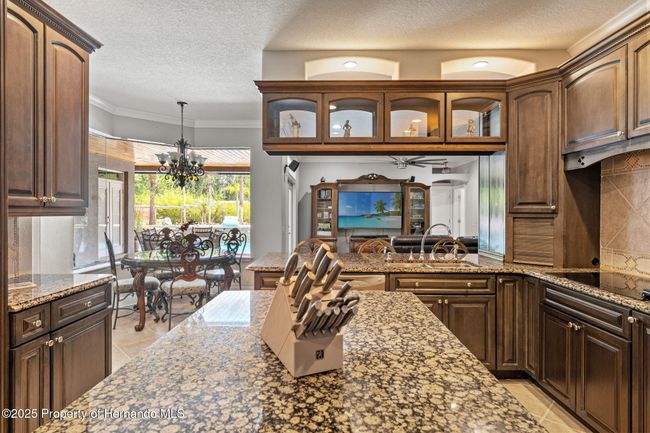 26221 Pheasant Run, House other with 4 bedrooms, 3 bathrooms and null parking in Wesley Chapel FL | Image 16