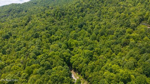 Lot 187 Cottage Lane, New Tazewell, TN, 37825 | Card Image