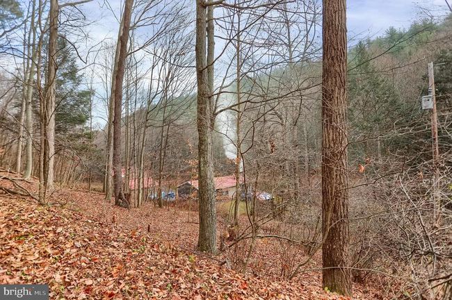1245 Thompson Hollow Ln, House other with 3 bedrooms, 2 bathrooms and null parking in HONEY GROVE PA | Image 59