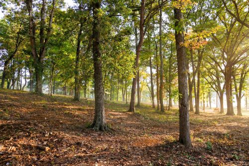 1054 Riverbank Ridge, Chattanooga, TN, 37415 | Card Image