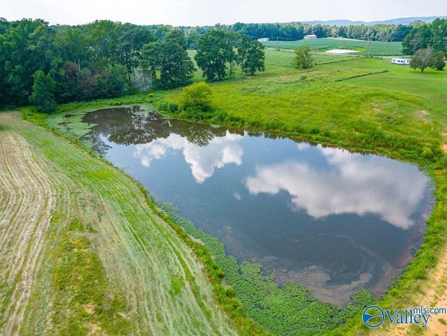 3269 Highway 55 E, House other with 5 bedrooms, 4 bathrooms and null parking in Eva AL | Image 40