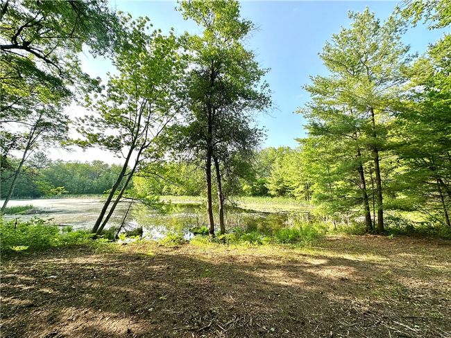 16 295th Street, Home with 0 bedrooms, 0 bathrooms and null parking in Holcombe WI | Image 12