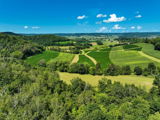 DJI_0387.jpg | Image 15
