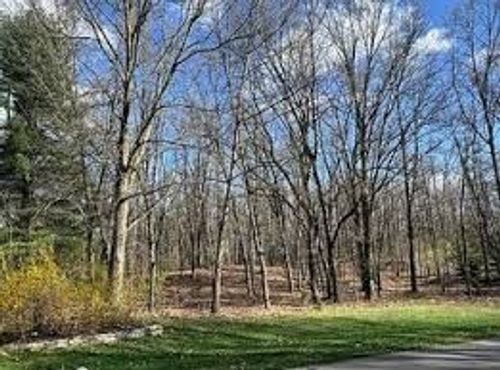 000 Lot 71 Pine Bluffs Ct Drive, Highland Charter Township, MI, 48357 | Card Image