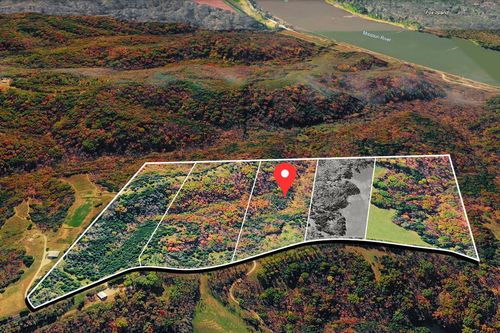 TRACT 3 E Cedar Tree Ln, HARTSBURG, MO, 65039 | Card Image
