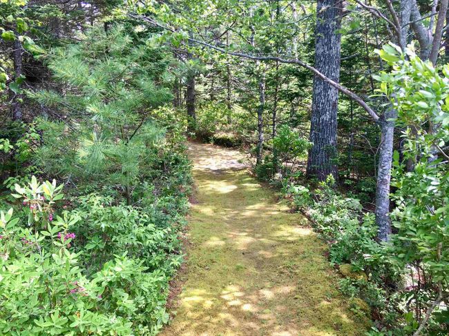 25 Juniper Way, House other with 3 bedrooms, 3 bathrooms and 4 parking in Hubley NS | Image 50