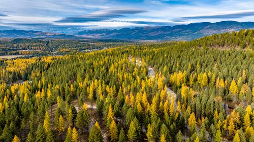 1143 Whitefish Ridge Road, Whitefish, MT, 59937 | Card Image