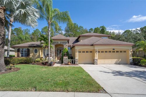 16750 Ivy Lake Drive, ODESSA, FL, 33556 | Card Image