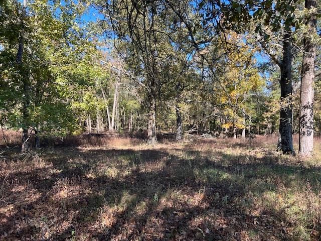 Land in Broken Bow 5
