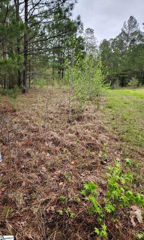 lot-92-314 Waters Edge Watersedge Dr, Cross Hill, SC, 29332-4030 | Card Image