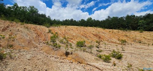 3.3+/- Acres--0 Isbell Blvd Nw, Fort Payne, AL, 35968 | Card Image