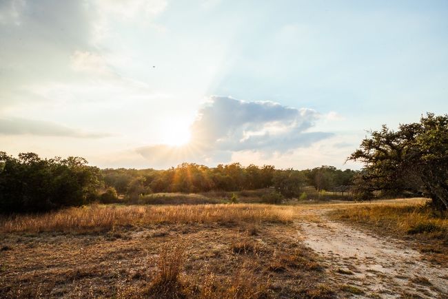 17650 Hamilton Pool Rd, Home with 0 bedrooms, 0 bathrooms and null parking in Austin TX | Image 7