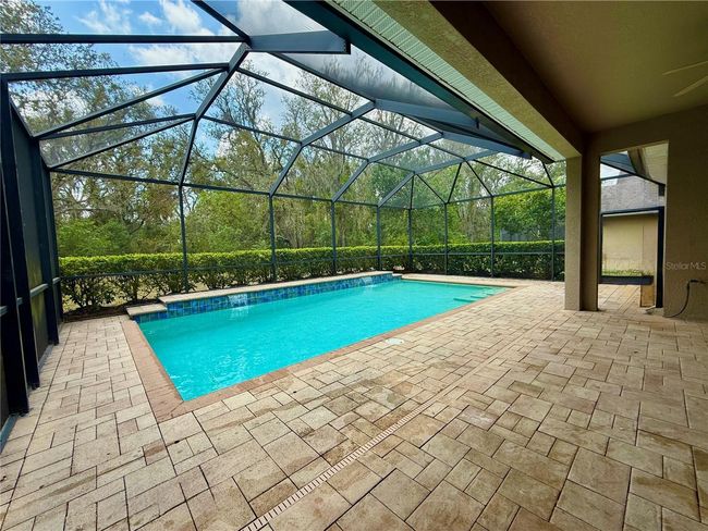 5117 Longspur Ct, House other with 5 bedrooms, 5 bathrooms and null parking in LITHIA FL | Image 61