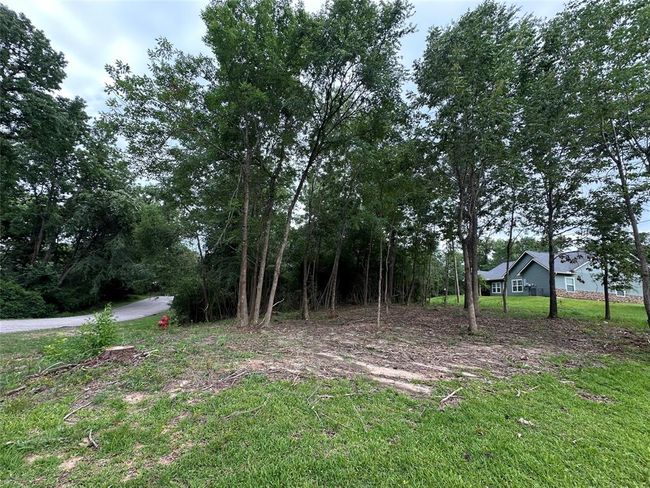 000 Lake Dr, Home with 0 bedrooms, 0 bathrooms and null parking in Onalaska TX | Image 7