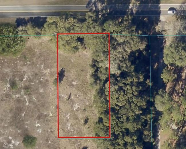 Partially cleared lot with lovely trees providing shade and privacy from the road | Image 1