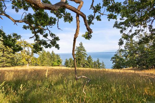4150 Euston Rd, Hornby Island, BC, V0R1Z0 | Card Image