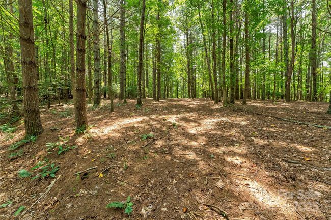 62 - 159 Deerberry Dr, Home with 0 bedrooms, 0 bathrooms and null parking in Nebo NC | Image 16