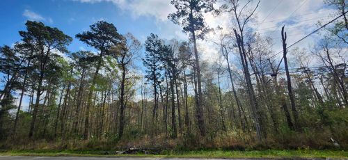 Tract A-4 Reinninger Rd, Denham Springs, LA, 70706 | Card Image
