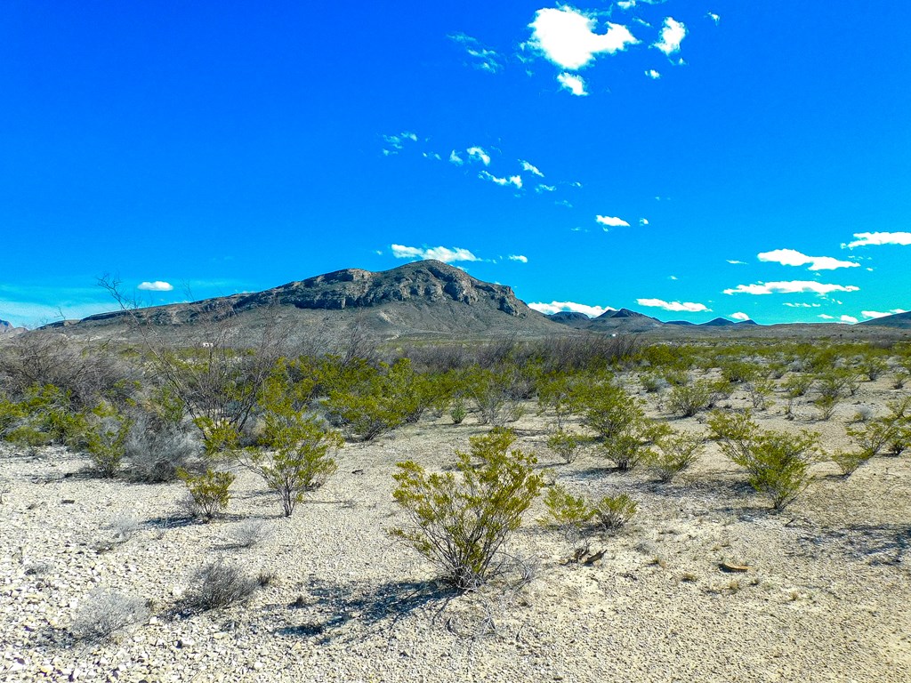 Land in Terlingua 4