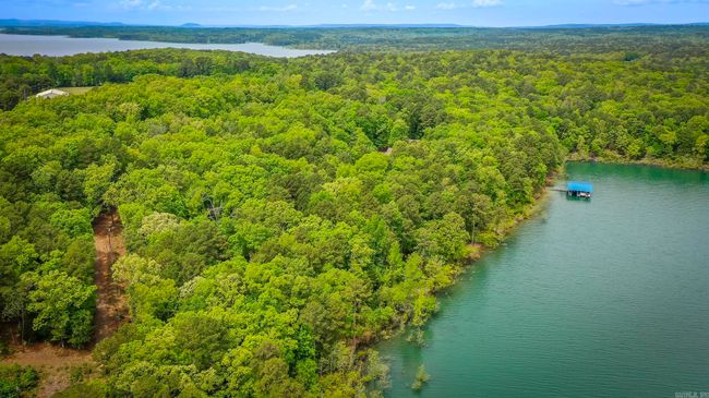 35 Parrott Point Rd, Home with 0 bedrooms, 0 bathrooms and null parking in Drasco AR | Image 19