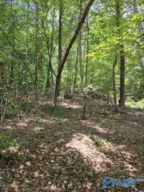 Lot 2 Cherokee County Road 275, Fort Payne, AL, 35967 | Card Image