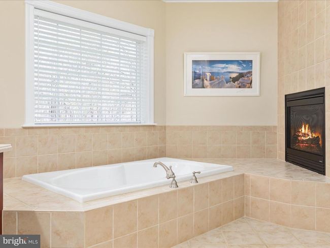 460 Solitude Ln, House other with 4 bedrooms, 5 bathrooms and null parking in Boyce VA | Image 50